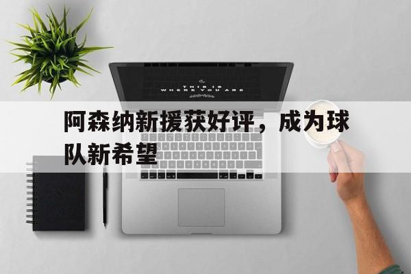 阿森纳新援获好评，成为球队新希望